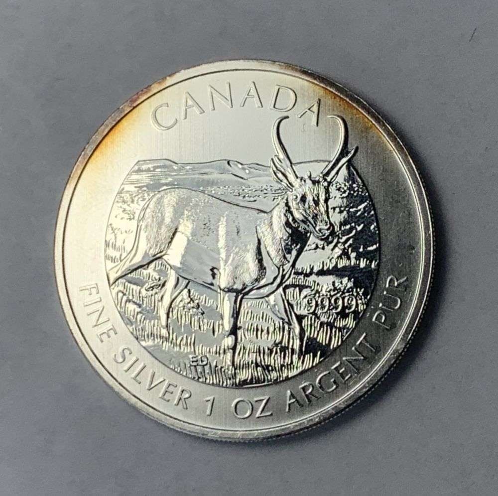 2013 Canada $5 Pronghorn Antelope 1 ozt .9999 Silver (1 of 2)