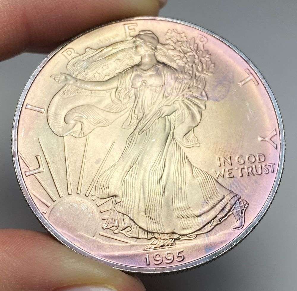 Toned 1995 American Silver Eagle (1 of 2)