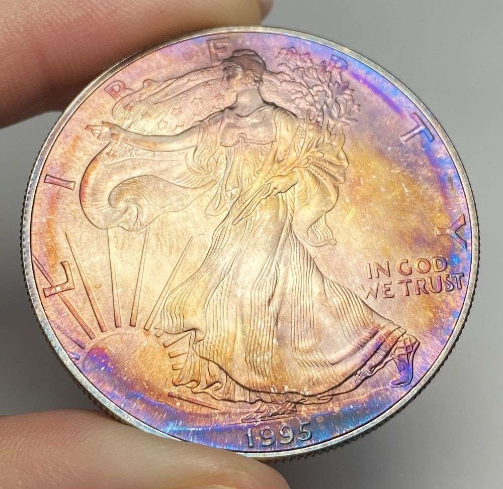 Toned 1995 American Silver Eagle (1 of 2)