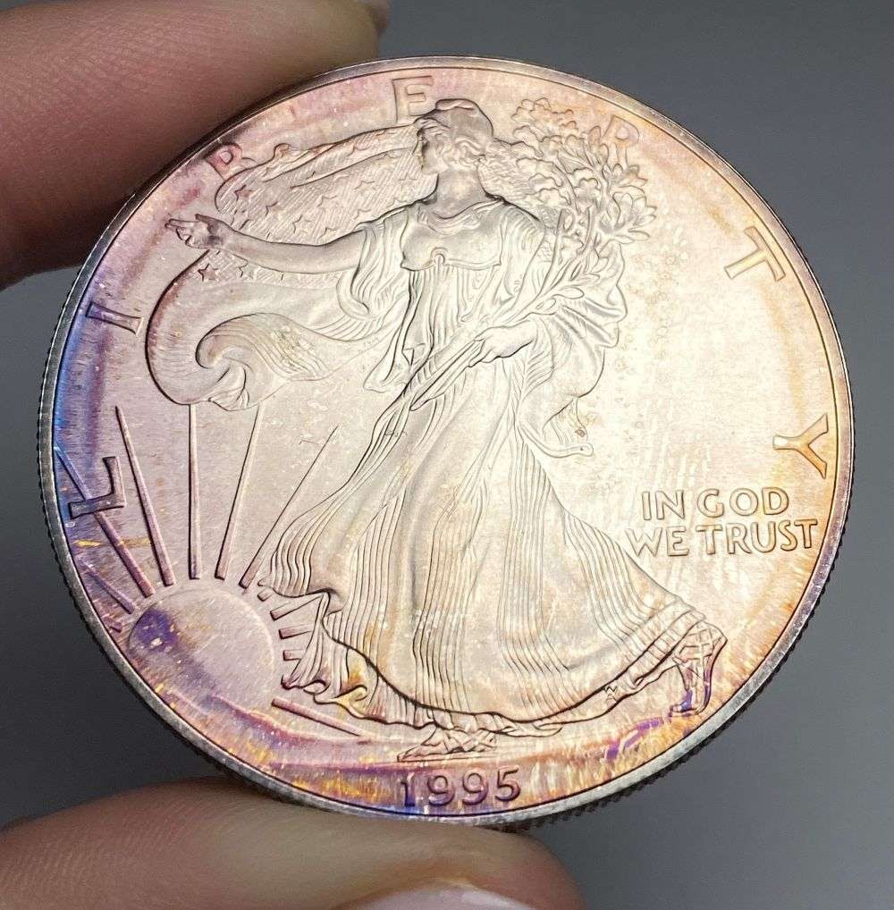 Toned 1995 American Silver Eagle (1 of 2)
