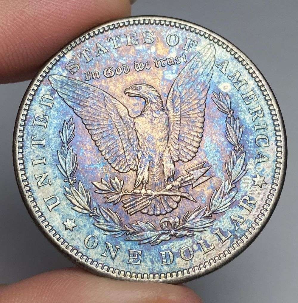 Nice Color 1889 Morgan Silver Dollar (1 of 2)