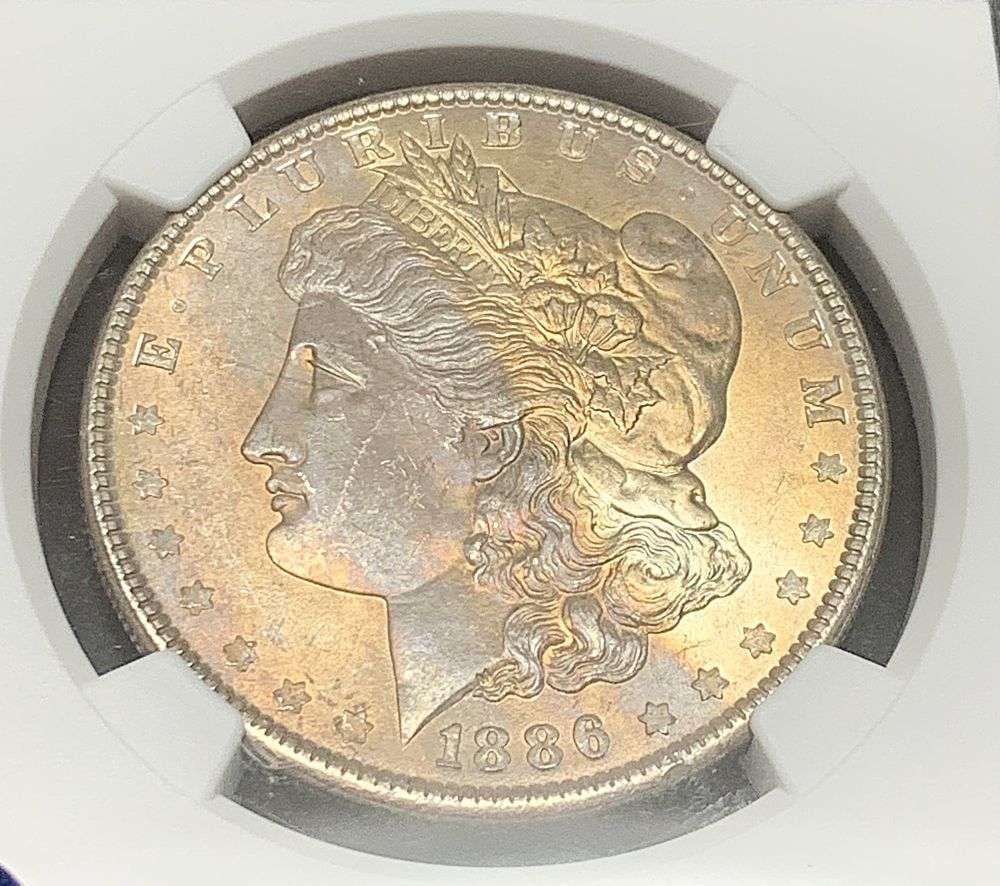 1886 Morgan Silver Dollar NGC MS63 1961 Treasury Collection (1 of 4)