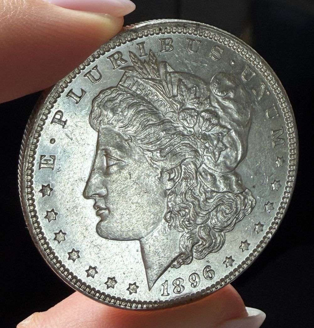 1896 Morgan Silver Dollar MS65 PL (1 of 4)