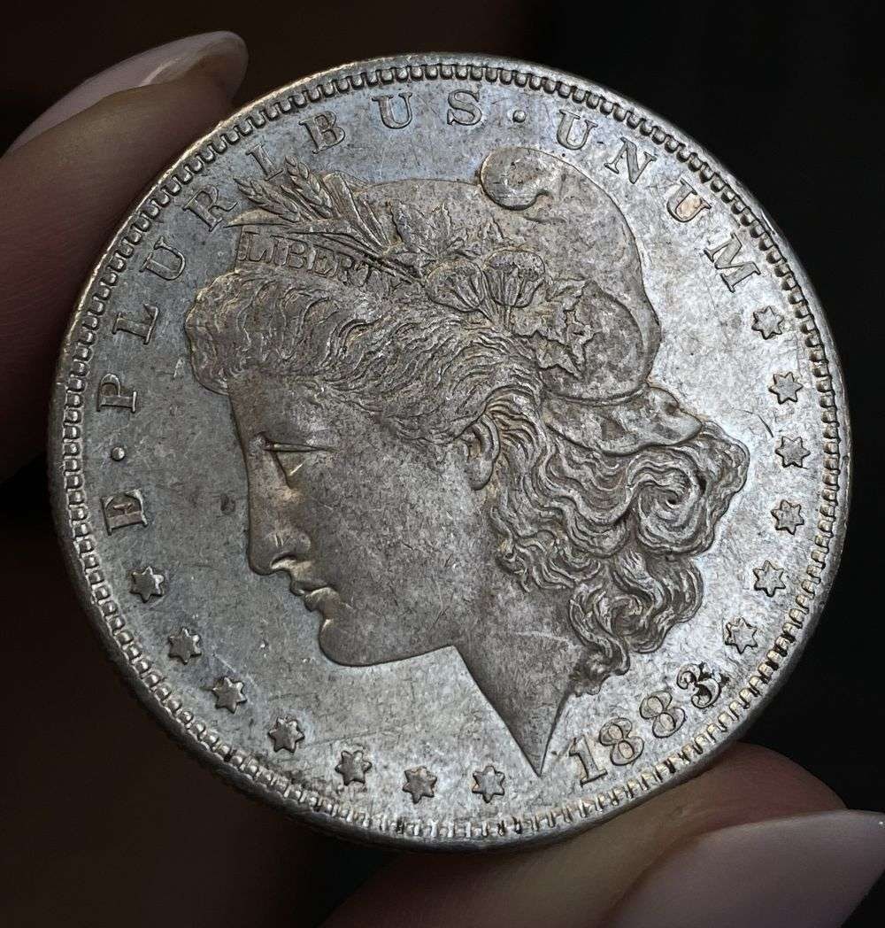 1883-S Morgan Silver Dollar MS62 PL Details (1 of 3)