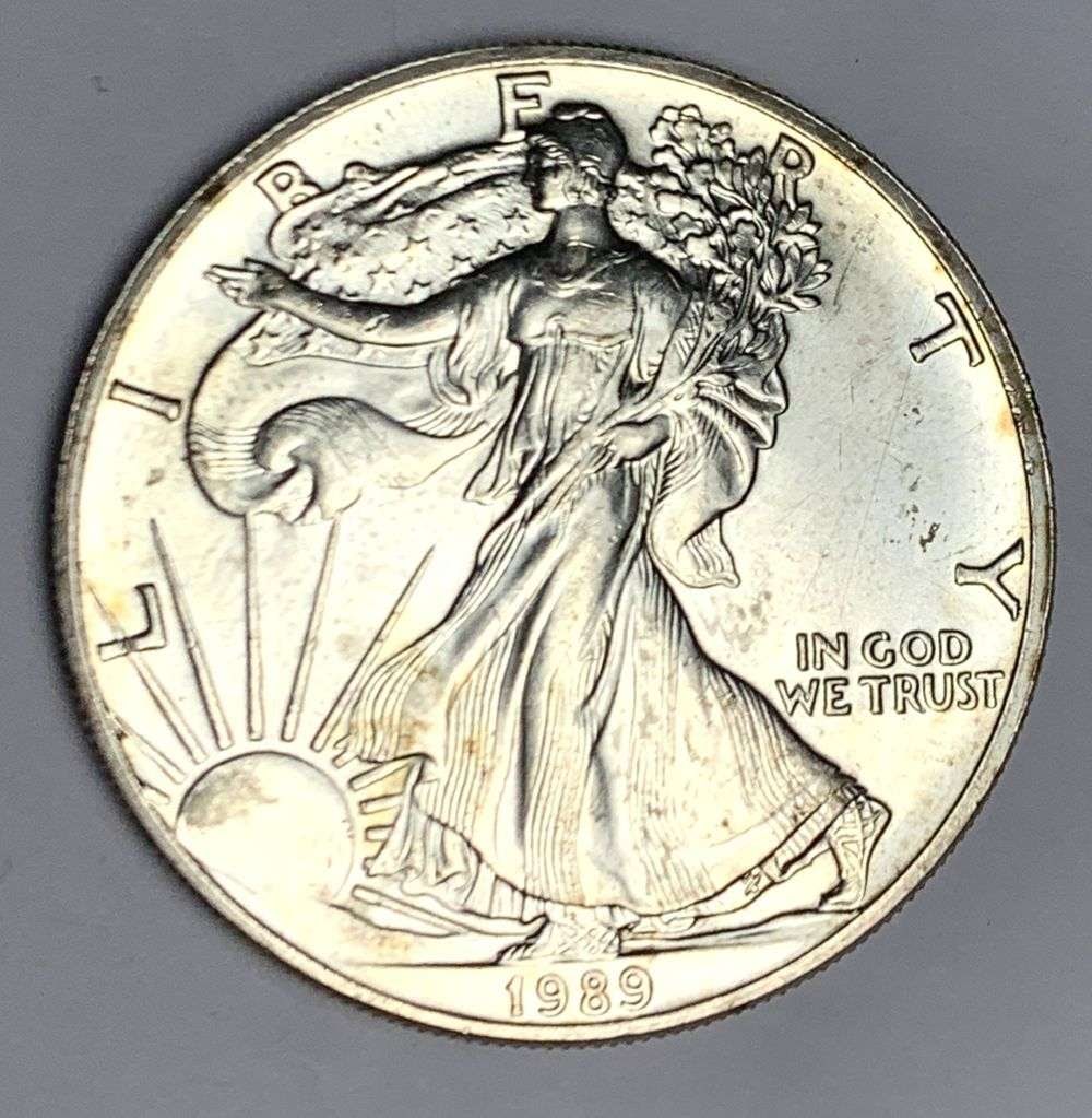 1989 American Silver Eagle (1 of 2)