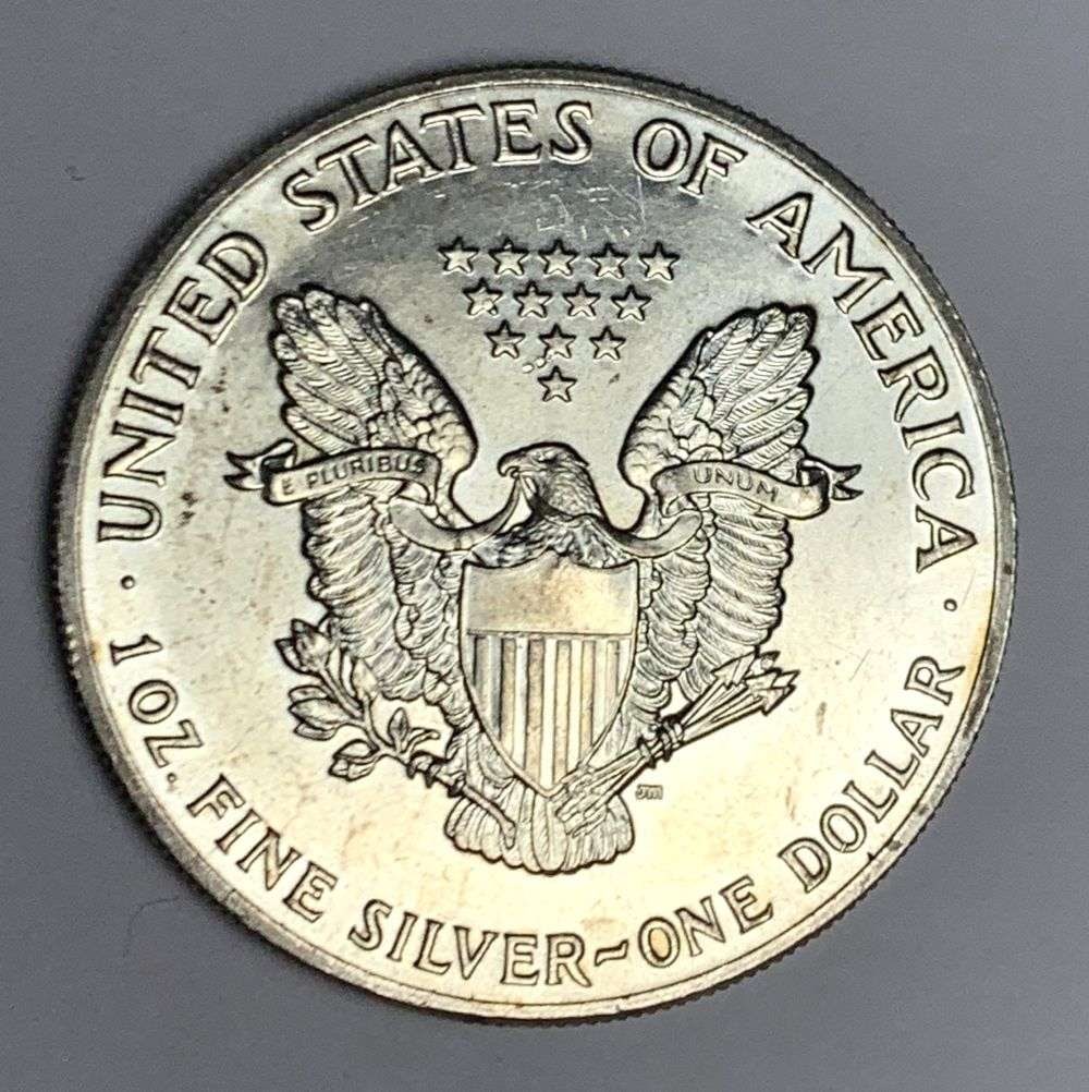 1989 American Silver Eagle - 2
