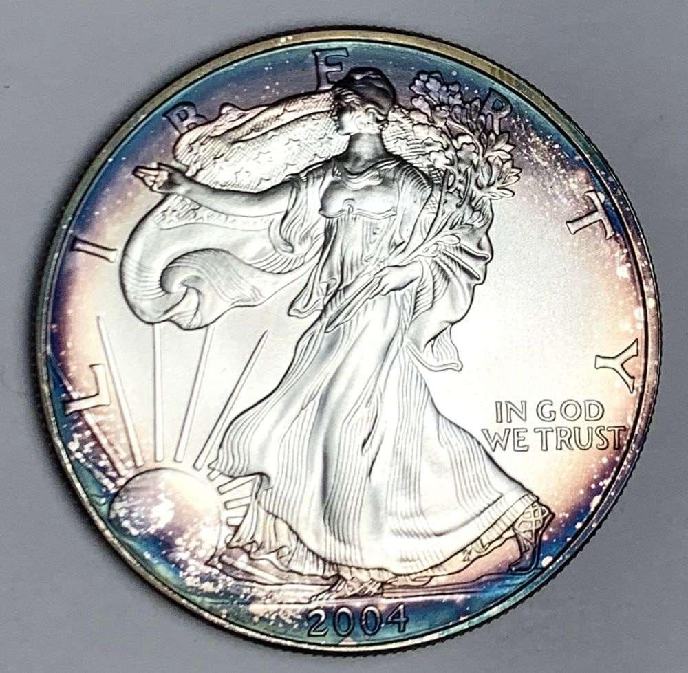 2004 American Silver Eagle (1 of 2)