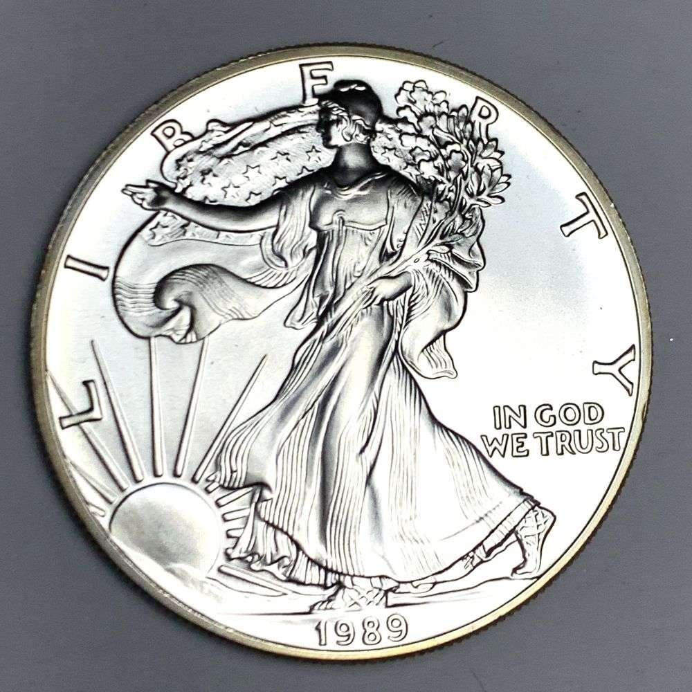 1989 American Silver Eagle (1 of 2)