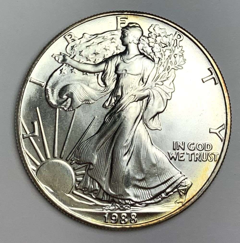 Early Year High Grade 1988 American Silver Eagle (1 of 2)