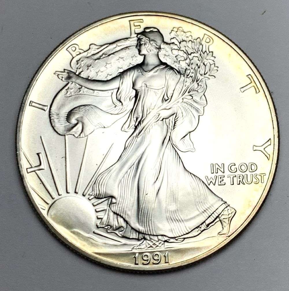 Early Date High Grade 1991 American Silver Eagle (1 of 2)