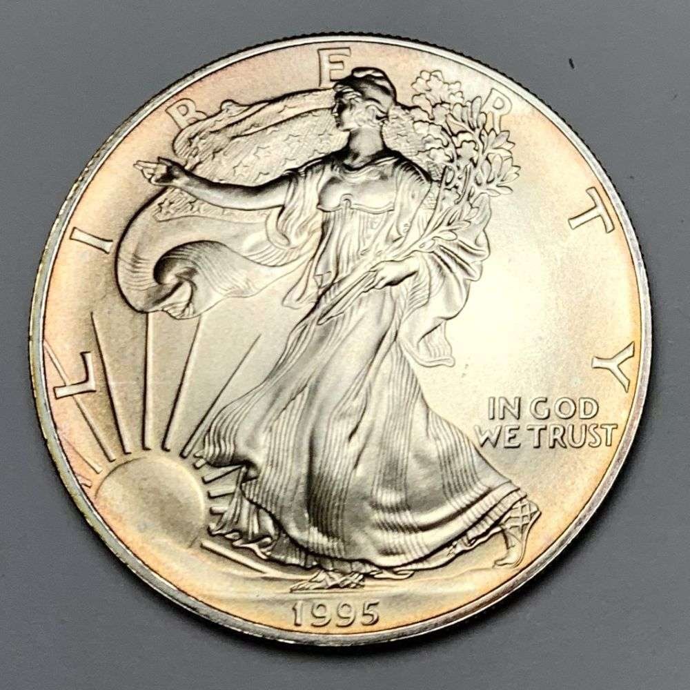 Early Year High Grade 1995 American Silver Eagle (1 of 2)