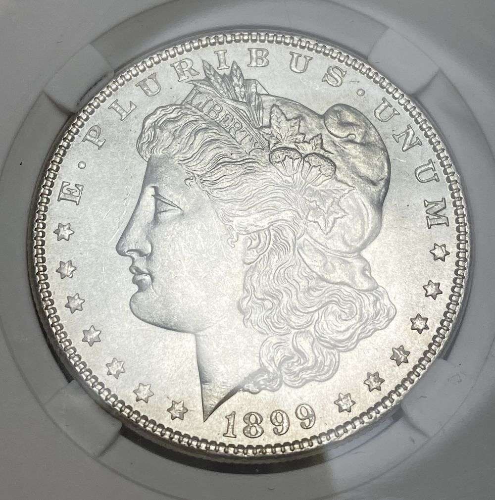 1899 Morgan Silver Dollar MS65 (1 of 4)