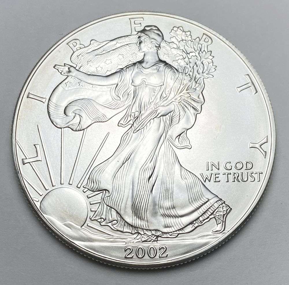 2002 American Silver Eagle (1 of 2)
