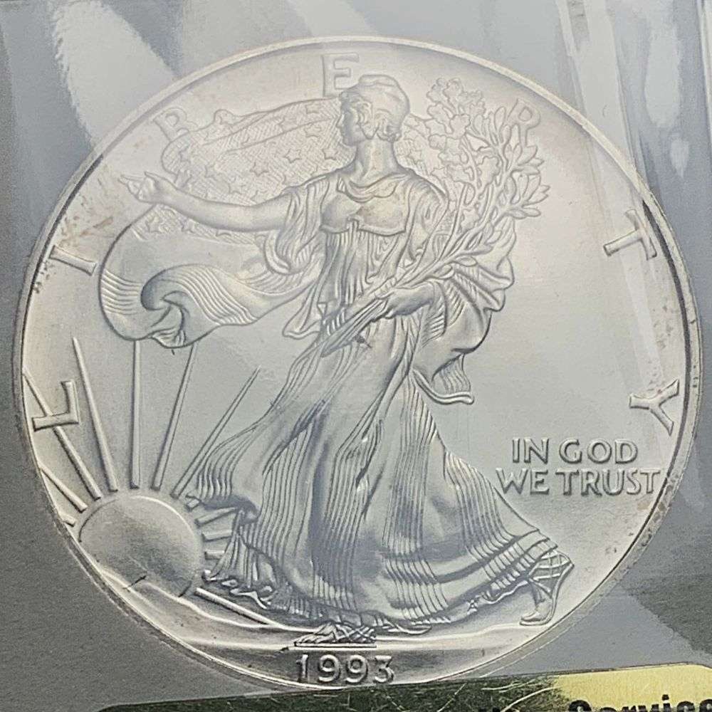 1993 American Silver Eagle MS70 (1 of 4)