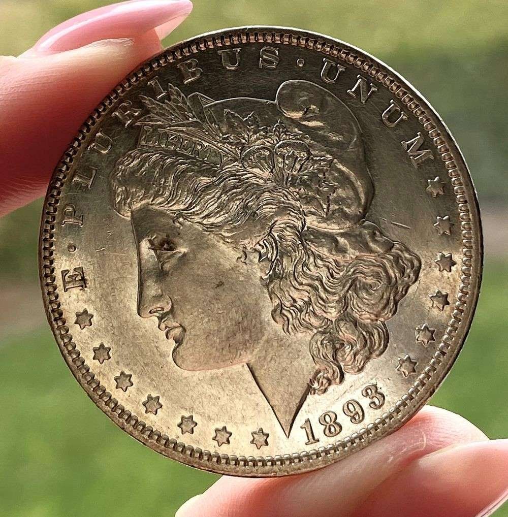 1893 Morgan Silver Dollar MS64 PL: At the Longview, Washington coin show, we were honored to receive this consignment. This particular collector, who had put the collection together over four decades. He acquired most of these items fr