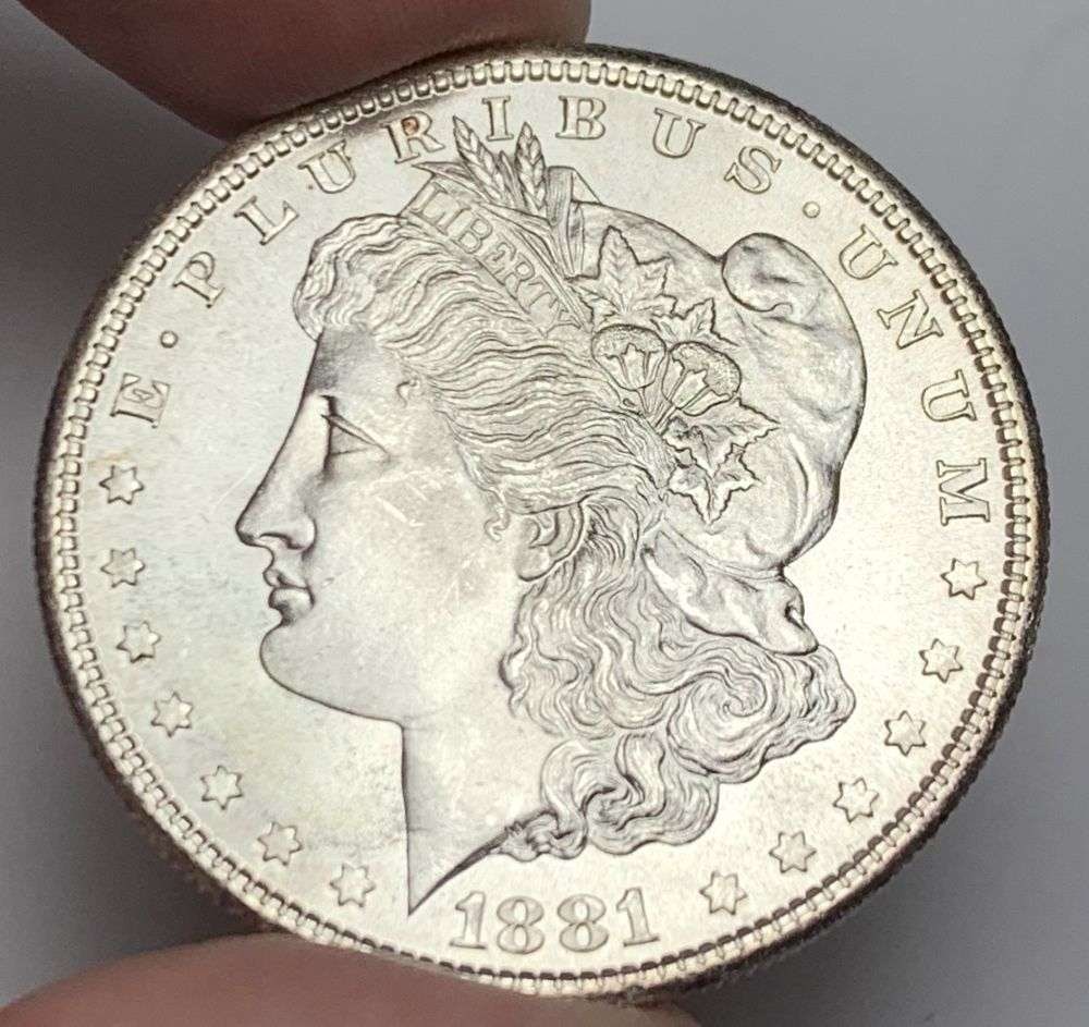 1881-S Morgan Silver Dollar MS66 (1 of 9)