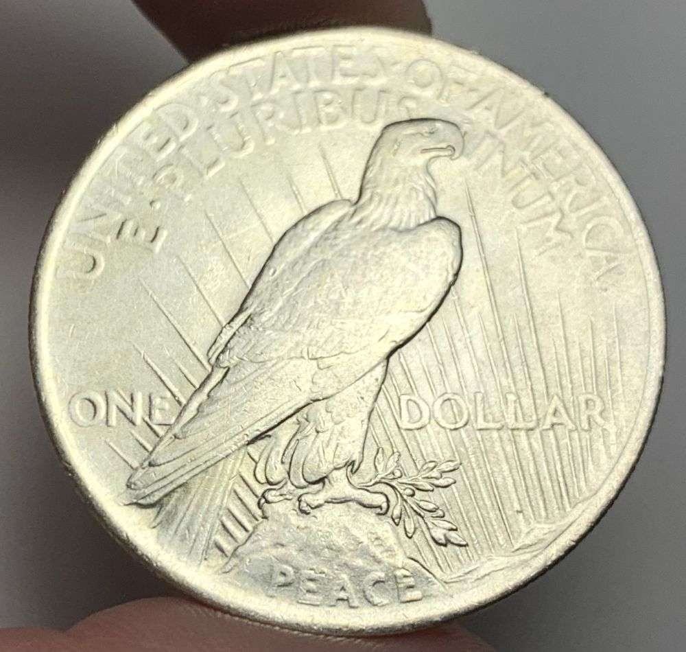 Mint Error 1923 Peace Silver Dollar MS63 - 3