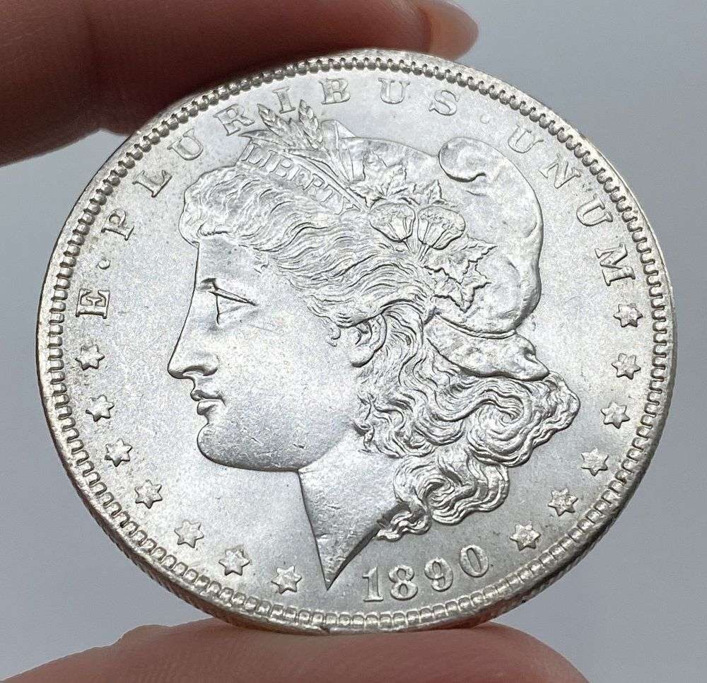 1890 Morgan Silver Dollar MS66 (1 of 9)