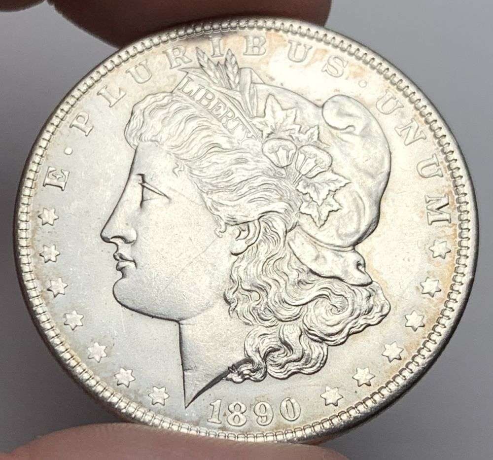 1890 Morgan Silver Dollar MS65 (1 of 7)