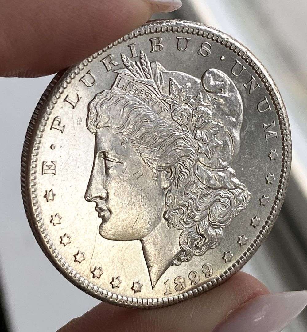 1899-S Morgan Silver Dollar MS63 PL (1 of 4)