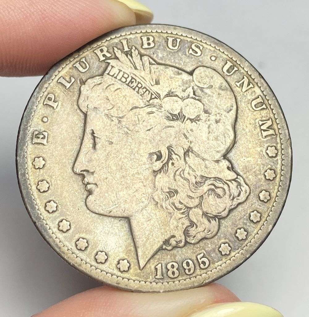1895-S Morgan Silver Dollar Fine (1 of 2)