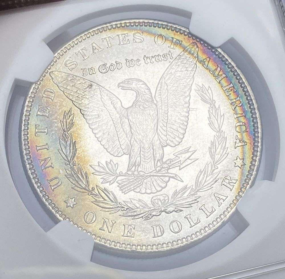 Toned 1886 Morgan Silver Dollar NGC MS63 (1961 Treasury Collection): Winner shall receive the exact coin shown here. (RR)