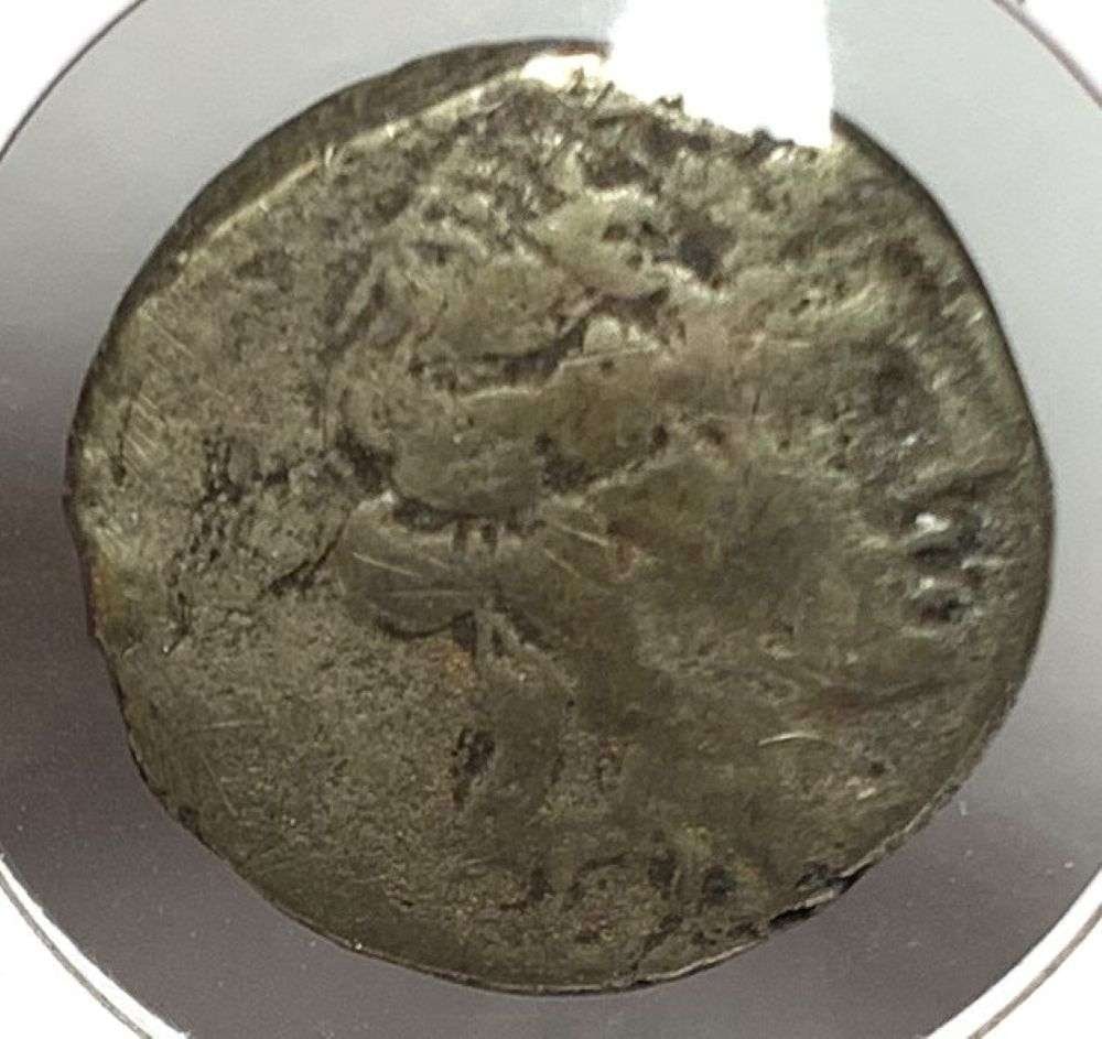 Ancient Amisos Mithradates Vl 105-65 BC: Imagine a time gone by, a period in history many centuries ago. Nearly as interesting to us, the coin dealers in 2026, comes the story of a retiring coin dealer with a secret warehouse full of safes t