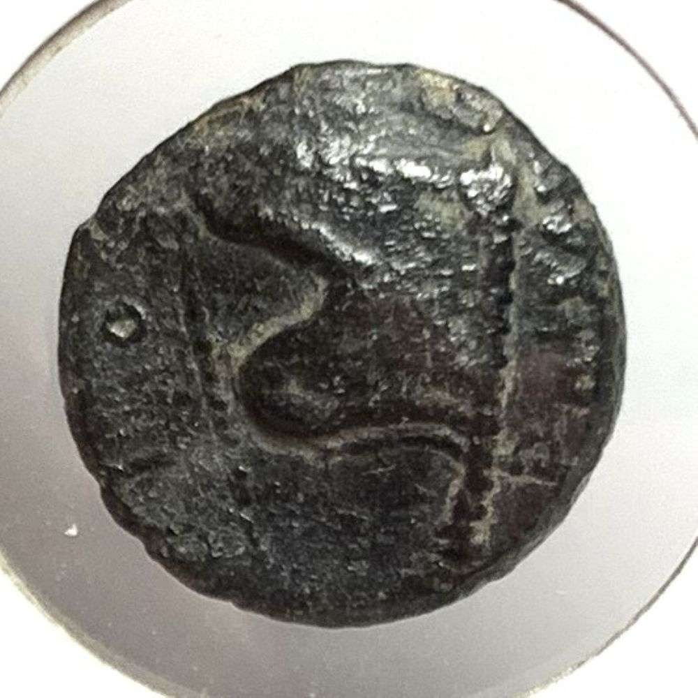 Ancient Rhometalkes Thracian Kingdom 12-13 AE (1 of 3)