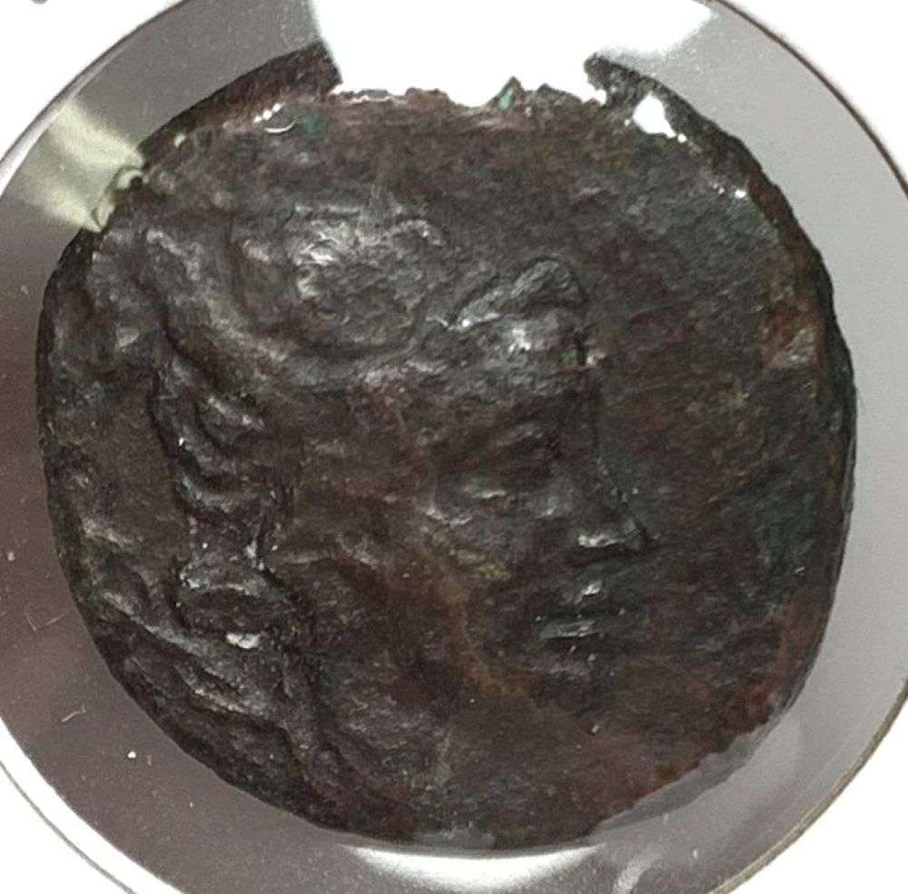Ancient Phanagoria Kingdom Bosporus 1st Century BC: Imagine a time gone by, a period in history many centuries ago. Nearly as interesting to us, the coin dealers in 2026, comes the story of a retiring coin dealer with a secret warehouse full of safes t