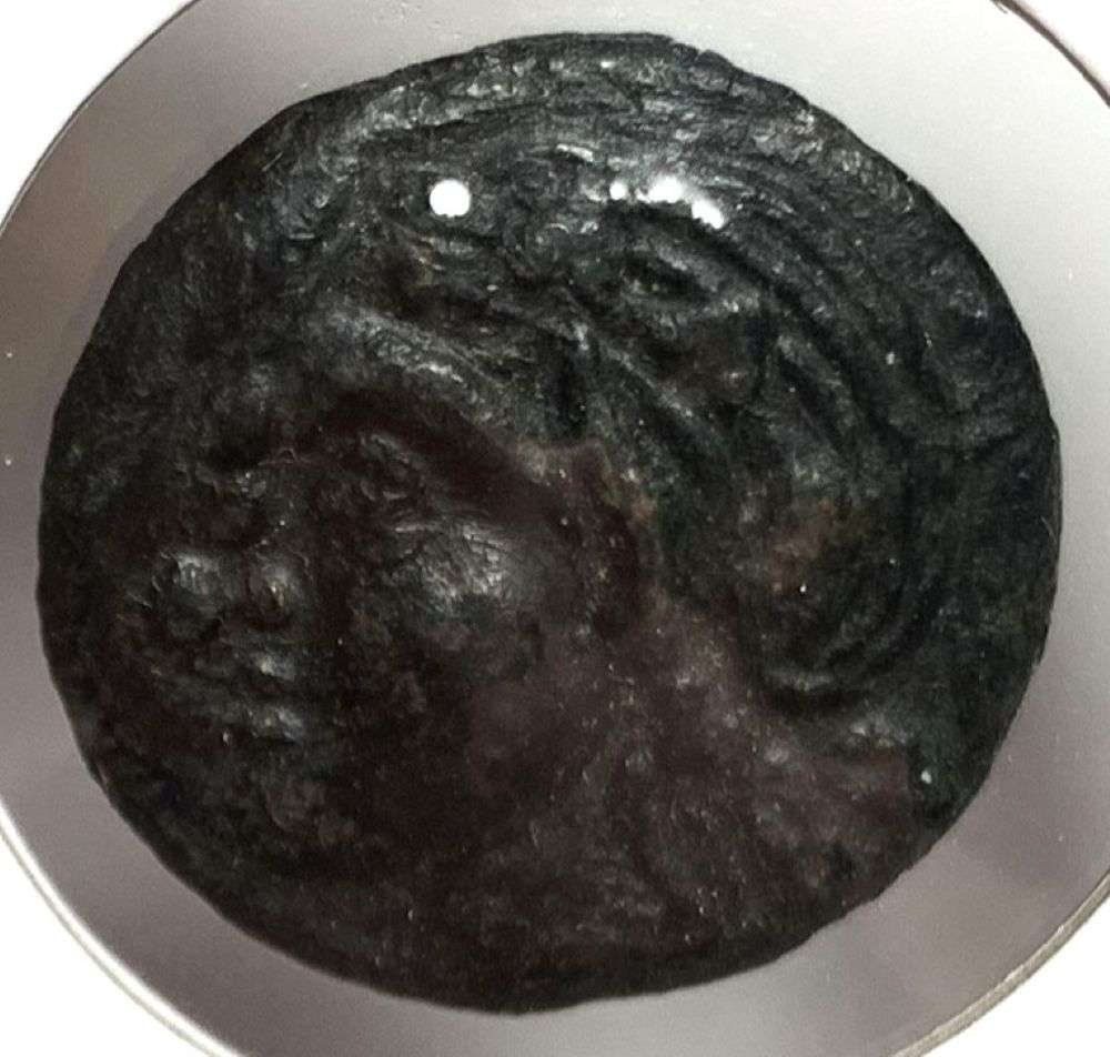 Ancient Greek Pautikapaeon 275-245BC (1 of 3)