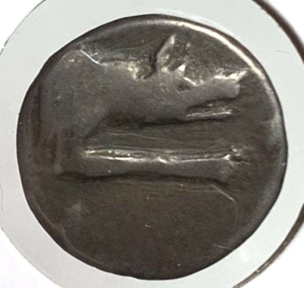Ancient Argolis, Argos 90-50 BC 2.2g: Imagine a time gone by, a period in history many centuries ago. Nearly as interesting to us, the coin dealers in 2026, comes the story of a retiring coin dealer with a secret warehouse full of safes t