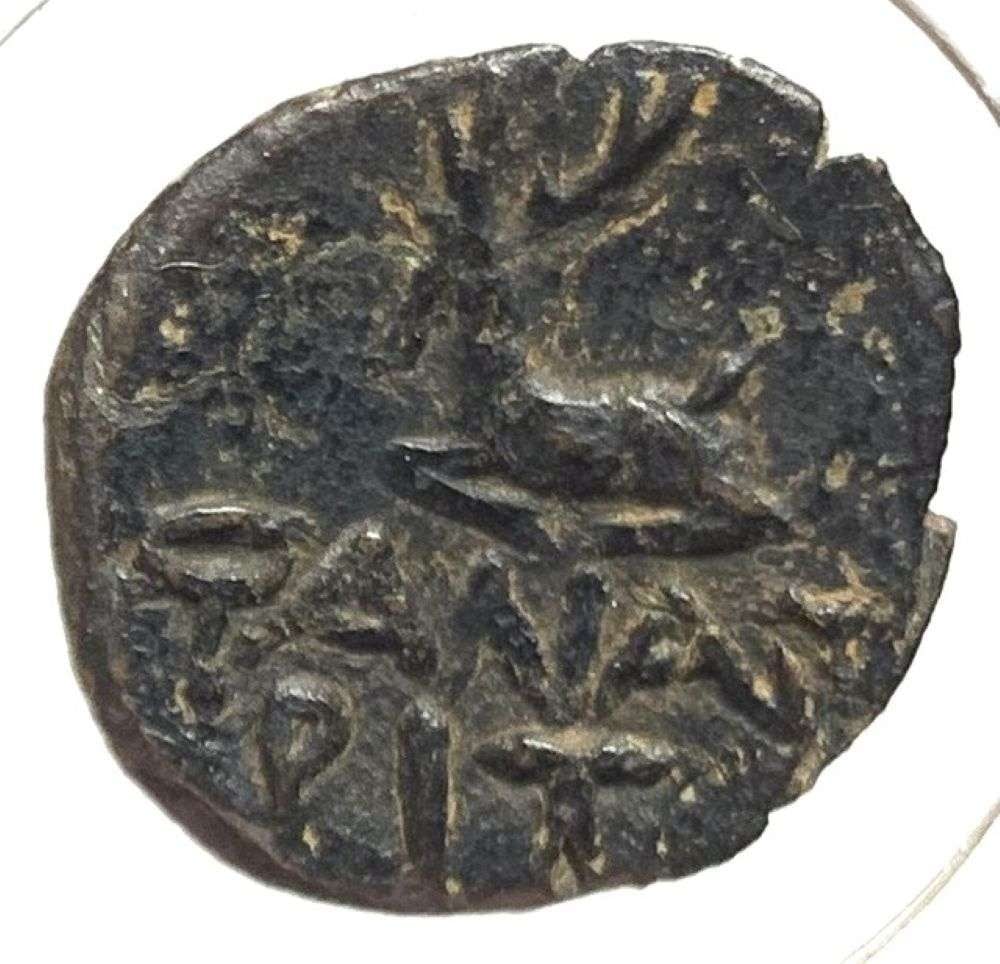 Ancient Kingdom Bosporus 1st Insurance BC AE21 (1 of 3)