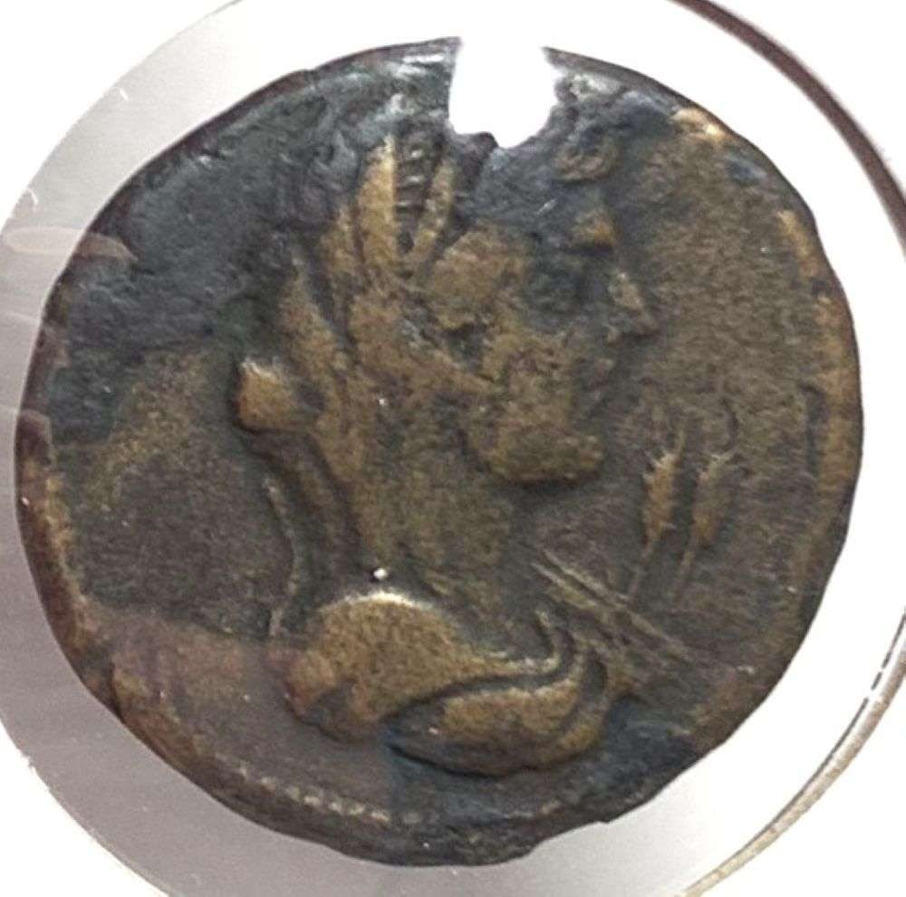 Ancient Roman Kallatis Moesia Inferior 100-200 AD (1 of 3)