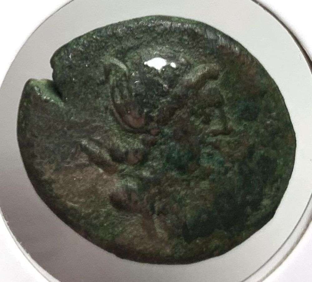 Ancient Chersonese Pantikapaion 2nd-3rd Century BC 6.5g: Imagine a time gone by, a period in history many centuries ago. Nearly as interesting to us, the coin dealers in 2026, comes the story of a retiring coin dealer with a secret warehouse full of safes t