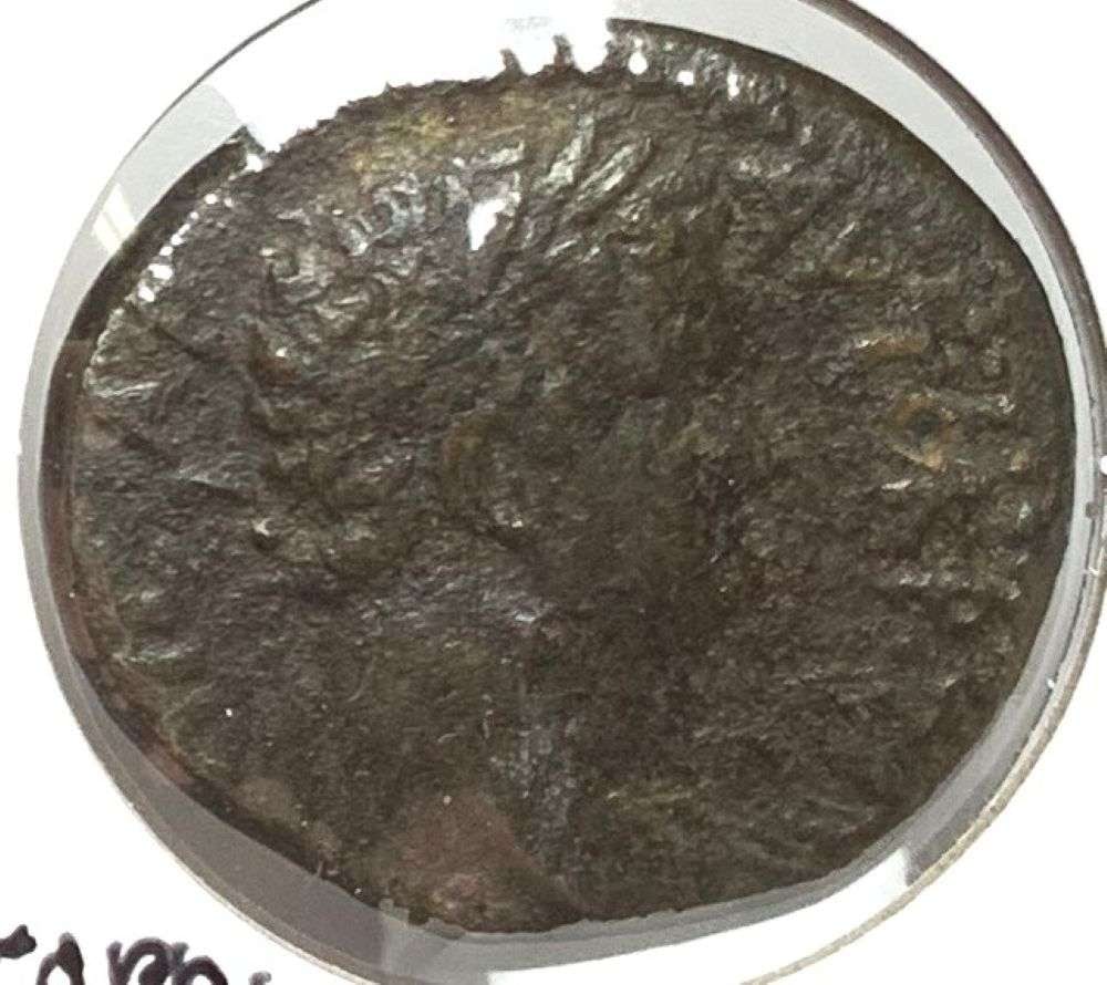 Ancient Roman Titus AE 69-76 AD: Imagine a time gone by, a period in history many centuries ago. Nearly as interesting to us, the coin dealers in 2026, comes the story of a retiring coin dealer with a secret warehouse full of safes t