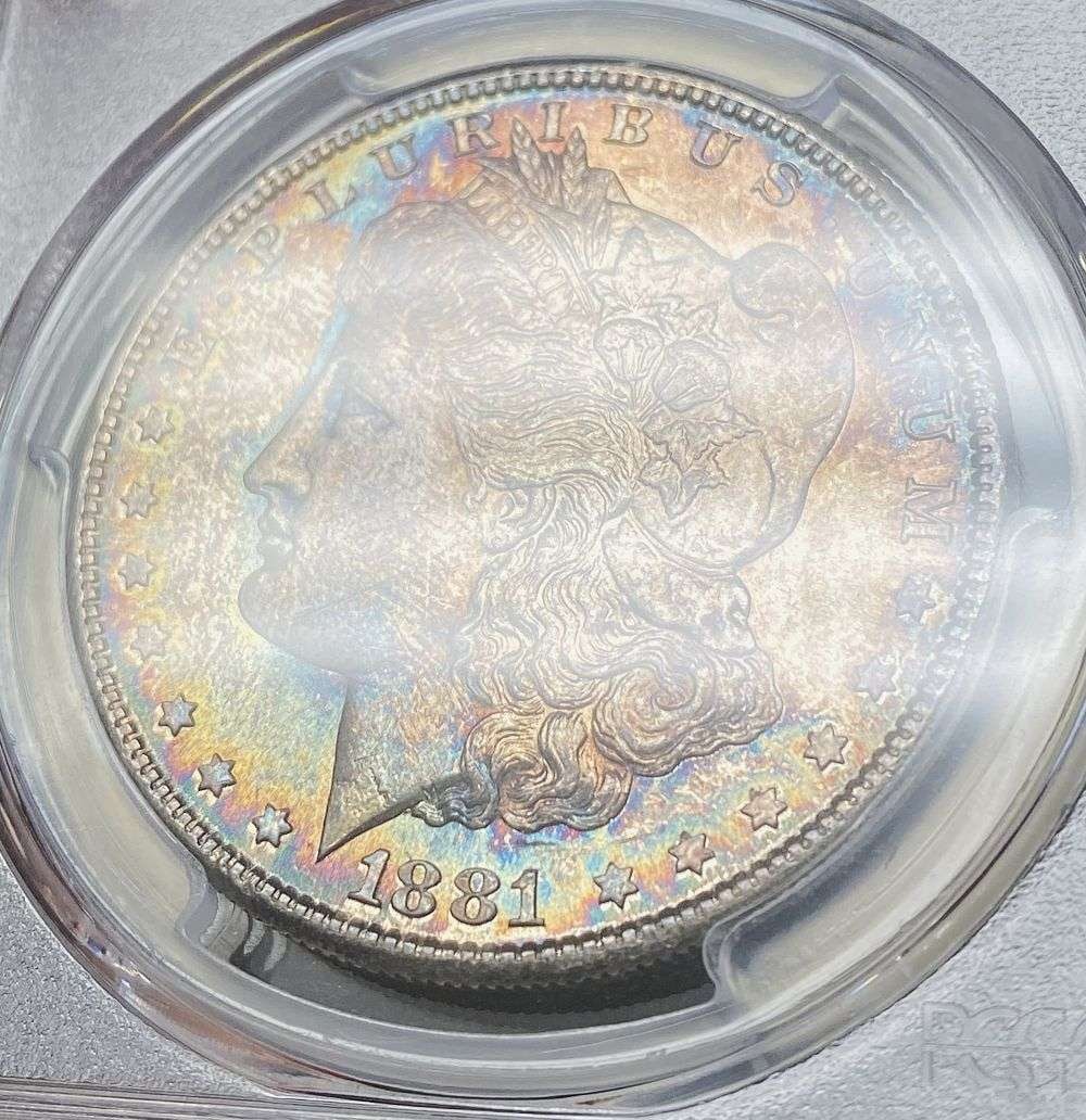 Amazing Toner 1881-S Morgan Silver Dollar PCGS MS64: Winner shall receive the exact coin shown here. (MR/LEE)