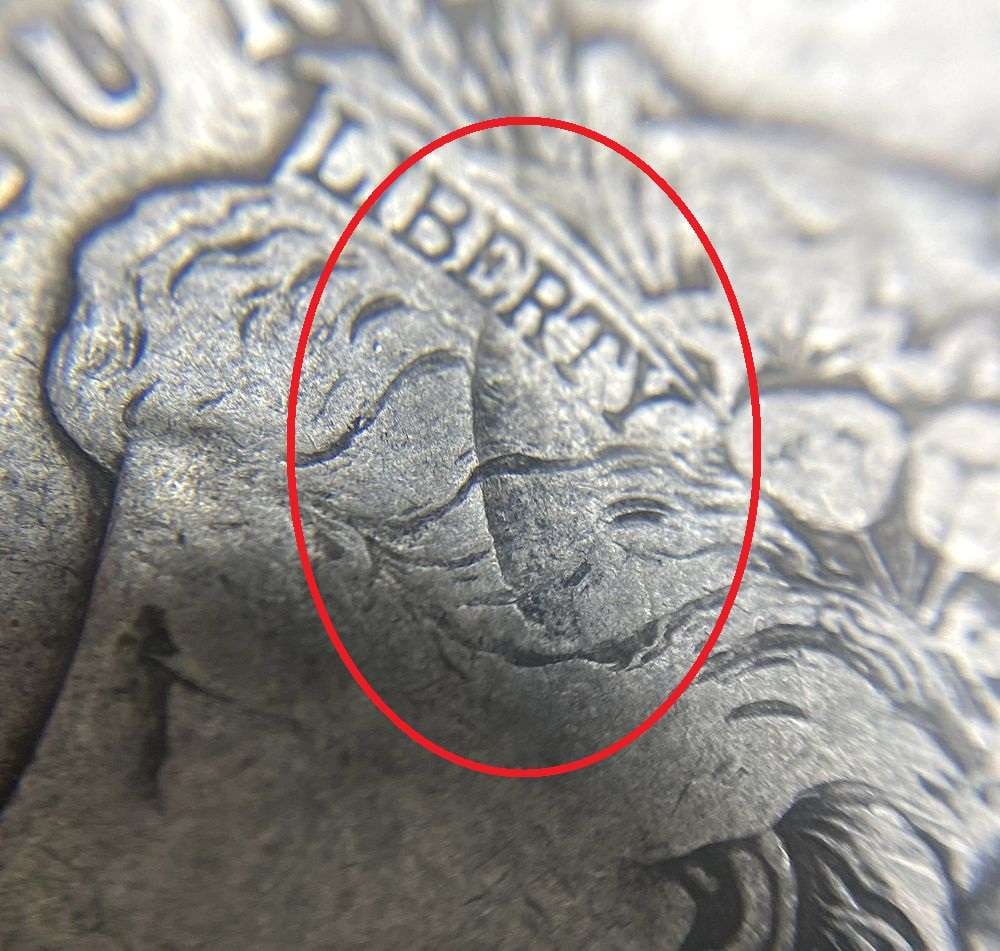 Mint Error 1904-S Morgan Silver Dollar VF (1 of 3)