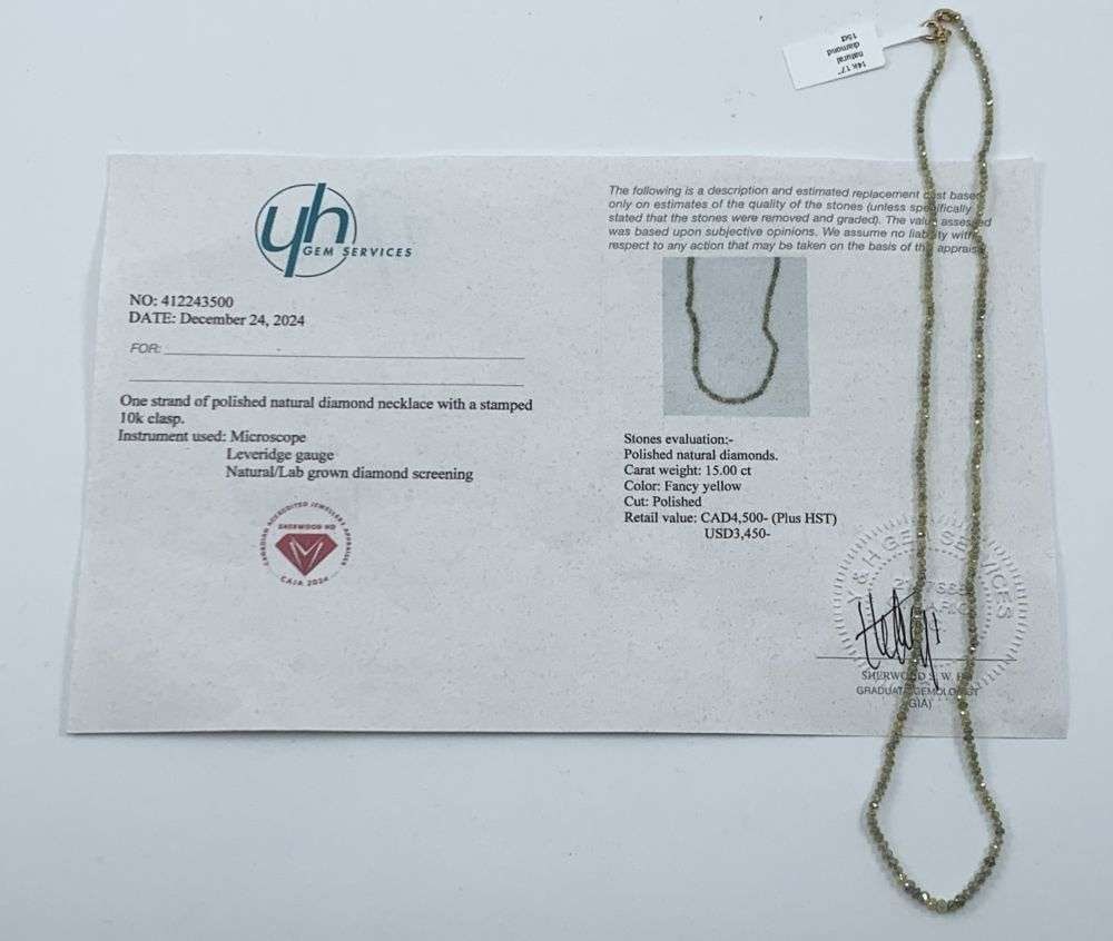15ct Yellow Diamond 10k Gold Necklace (17 inches): Winer shall recieve the exact item shown here. (MR)