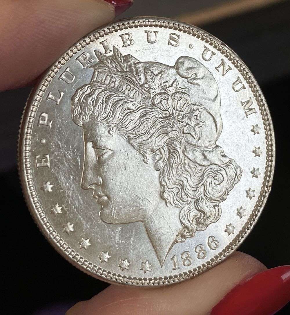 1886 Morgan Silver Dollar MS65 PL (1 of 2)