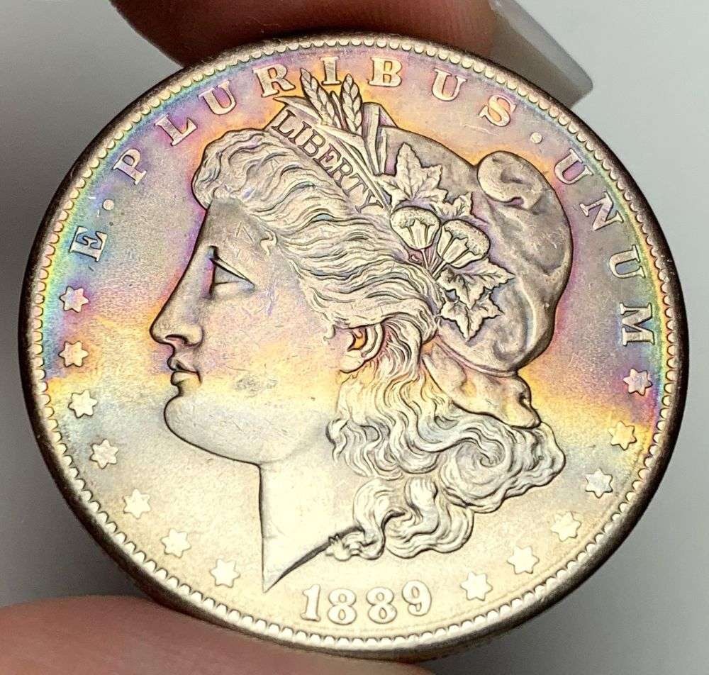Sick Color 1889 Morgan Silver Dollar: Winner shall receive the exact coin shown here. (MR/RB)