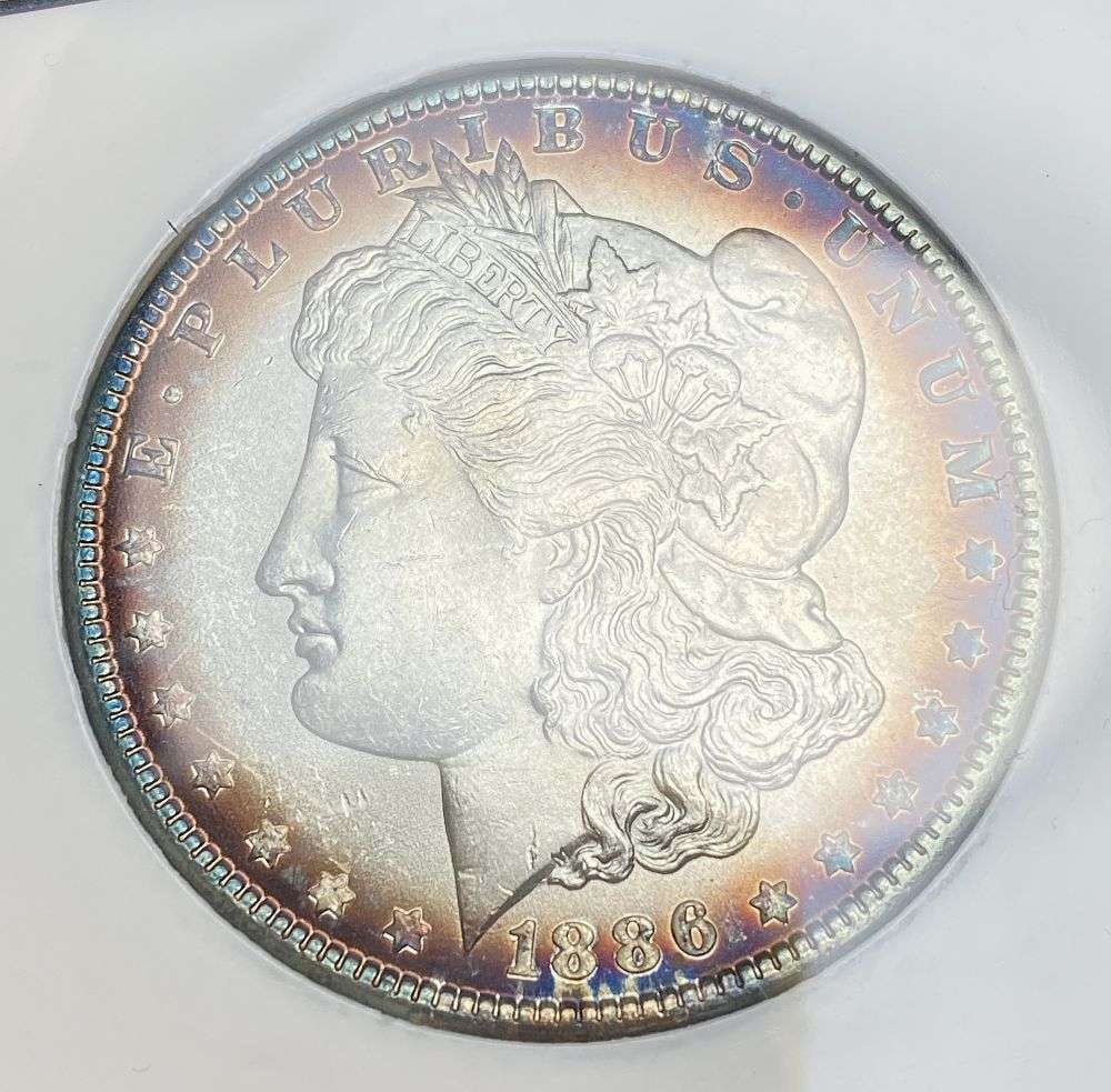 Toning 1886 Morgan Silver Dollar MS65: IMPORTANT NOTE: We do not agree with the grade provided with this "off-brand" grading company. Winner shall receive the exact coin shown here. (RR)
