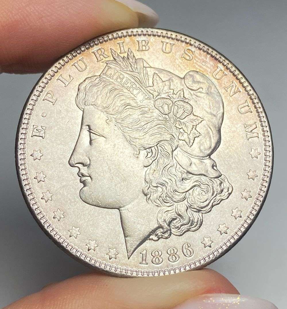 Sick Toning 1886 Morgan Silver Dollar MS66: A very special consignment. Once in a great while, some really, really nice silver dollars will hit the market. These coins come from a old, old-timer! By order of the consignor, none of these coins a
