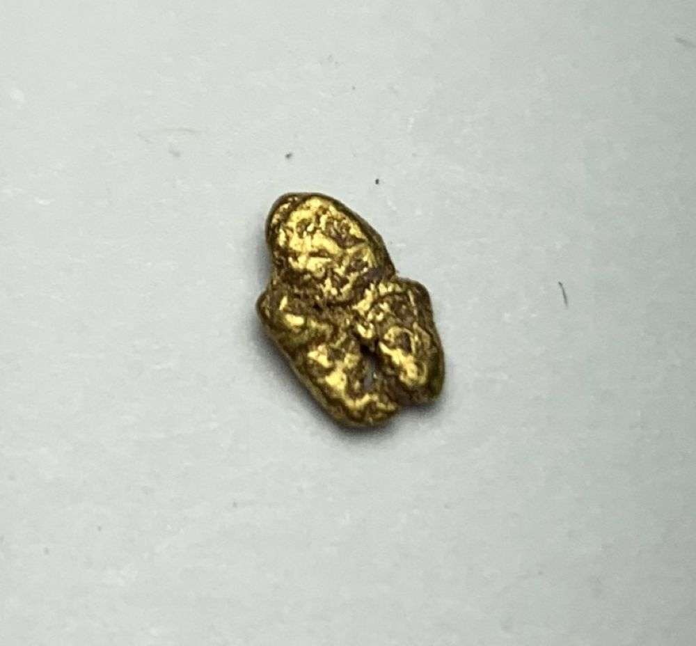 Nevada Gold Nugget .3g: Winner shall receive the exact item shown here. (MR/B)