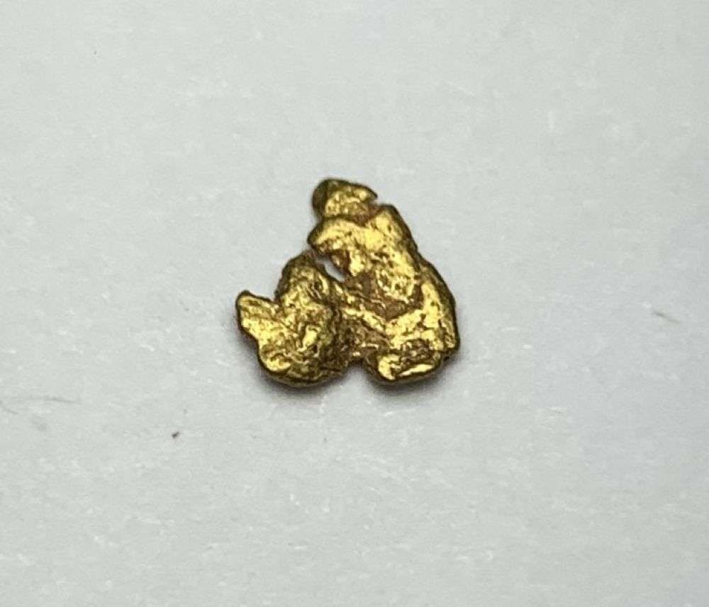 Nevada Gold Nugget .2g: Winner shall receive the exact item shown here. (MR/B)