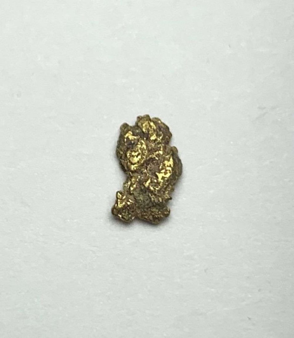 Nevada Gold Nugget .3g: Winner shall receive the exact item shown here. (MR/B)