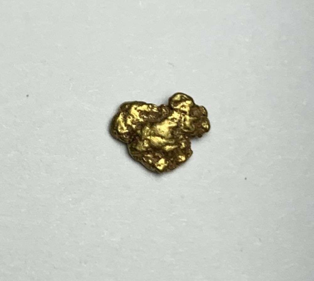 Nevada Gold Nugget .5g: Winner shall receive the exact item shown here. (MR/UR)