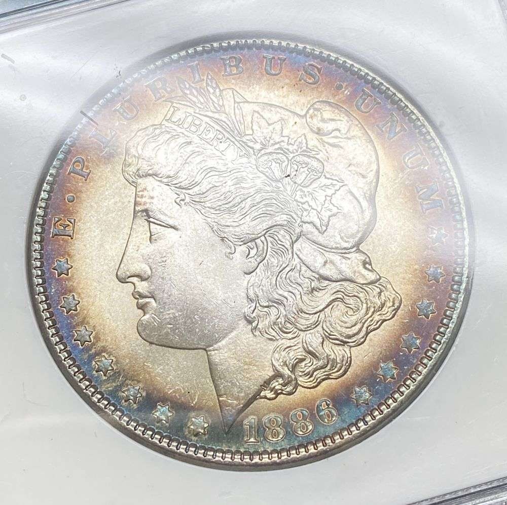 Toned 1886 Morgan Silver Dollar MS66: IMPORTANT NOTE: We do not agree with the grade provided with this "off-brand" grading company. Winner shall receive the exact coin shown here. (RR)
