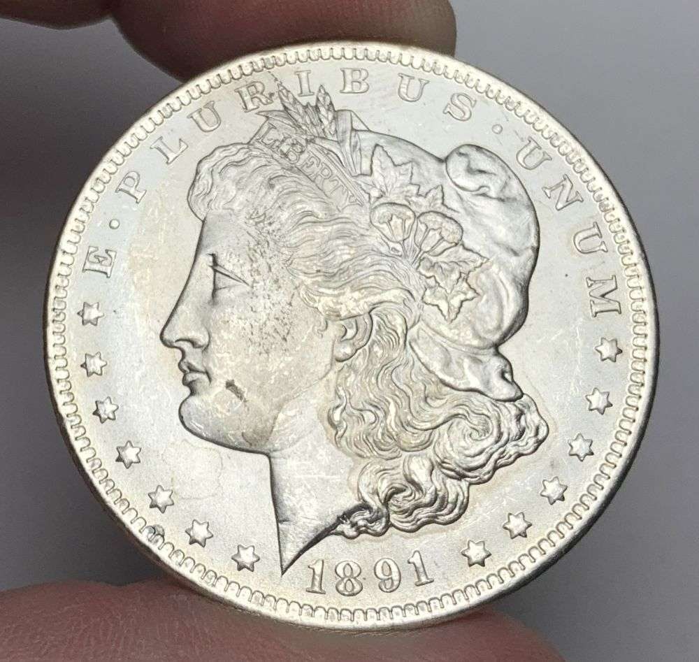 1891-CC Morgan Silver Dollar MS65 Details (1 of 4)