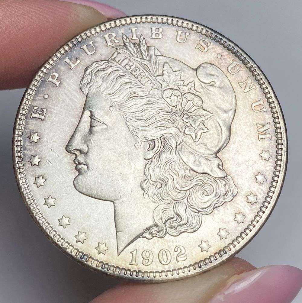 Last Minute! 1902 Morgan Silver Dollar MS65: This is the story about two coin dealers, a partnership. One, the largest bullion dealer north of San Francisco, and the other, the largest rare coin dealer north of San Francisco. Together, their sho