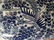 A Rare Frederick Cooper Large Blue and White Phoenix - 4